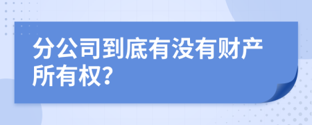 分公司到底有没有财产所有权？