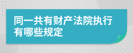 同一共有财产法院执行有哪些规定