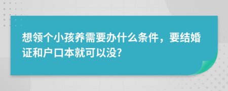 想领个小孩养需要办什么条件，要结婚证和户口本就可以没?