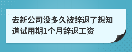 去新公司没多久被辞退了想知道试用期1个月辞退工资