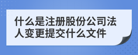 什么是注册股份公司法人变更提交什么文件