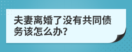 夫妻离婚了没有共同债务该怎么办？