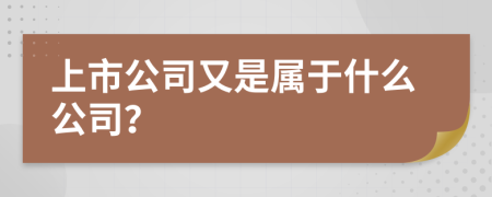 上市公司又是属于什么公司？