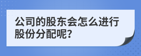 公司的股东会怎么进行股份分配呢？