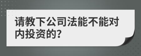 请教下公司法能不能对内投资的？