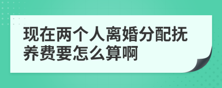 现在两个人离婚分配抚养费要怎么算啊