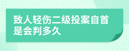 致人轻伤二级投案自首是会判多久