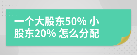 一个大股东50% 小股东20% 怎么分配