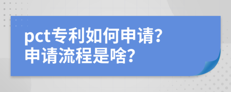 pct专利如何申请？申请流程是啥？