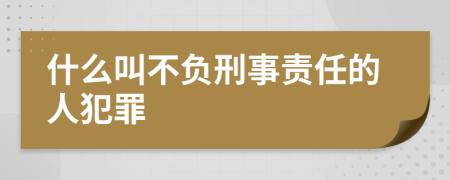 什么叫不负刑事责任的人犯罪