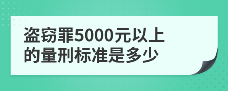 盗窃罪5000元以上的量刑标准是多少