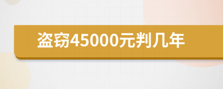 盗窃45000元判几年