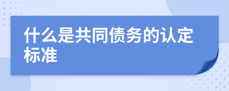 什么是共同债务的认定标准