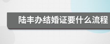 陆丰办结婚证要什么流程