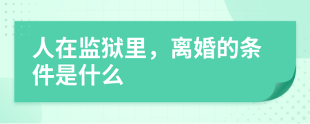 人在监狱里，离婚的条件是什么