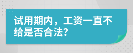 试用期内，工资一直不给是否合法？