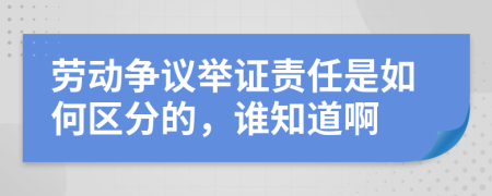 劳动争议举证责任是如何区分的，谁知道啊