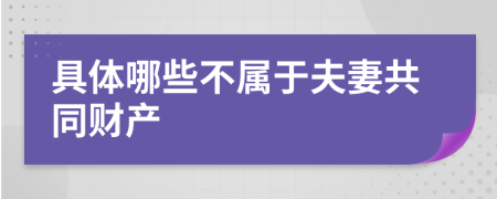 具体哪些不属于夫妻共同财产