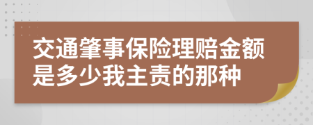 交通肇事保险理赔金额是多少我主责的那种