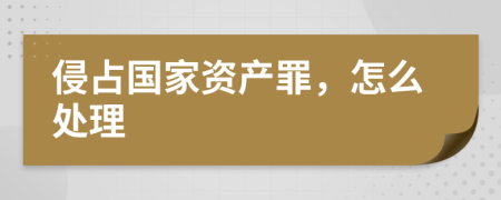 侵占国家资产罪，怎么处理