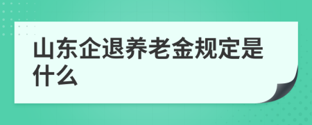 山东企退养老金规定是什么