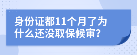 身份证都11个月了为什么还没取保候审？