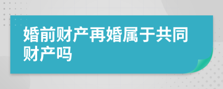 婚前财产再婚属于共同财产吗