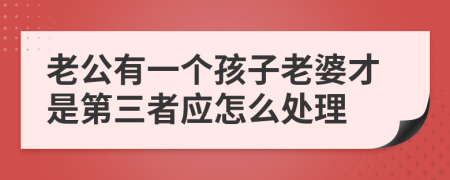 老公有一个孩子老婆才是第三者应怎么处理