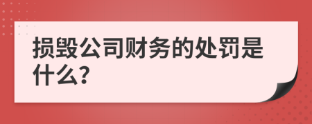 损毁公司财务的处罚是什么？