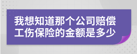 我想知道那个公司赔偿工伤保险的金额是多少
