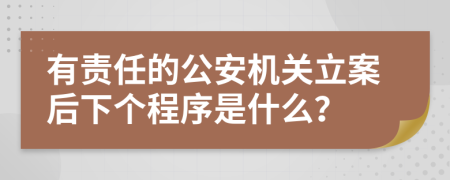 有责任的公安机关立案后下个程序是什么？