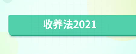 收养法2021