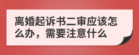 离婚起诉书二审应该怎么办，需要注意什么