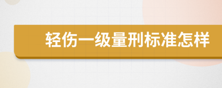 轻伤一级量刑标准怎样