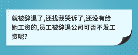 就被辞退了,还找我哭诉了,还没有给她工资的,员工被辞退公司可否不发工资呢？