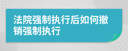 法院强制执行后如何撤销强制执行