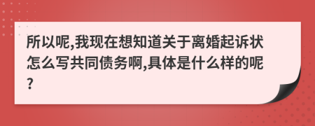 所以呢,我现在想知道关于离婚起诉状怎么写共同债务啊,具体是什么样的呢?