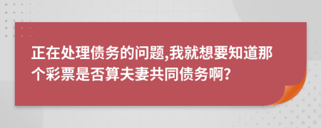 正在处理债务的问题,我就想要知道那个彩票是否算夫妻共同债务啊？