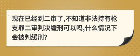 现在已经到二审了,不知道非法持有枪支罪二审判决缓刑可以吗,什么情况下会被判缓刑？