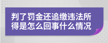 判了罚金还追缴违法所得是怎么回事什么情况