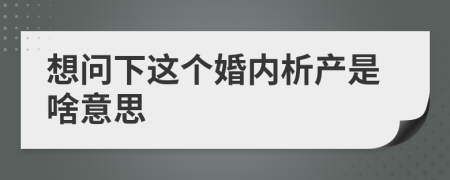 想问下这个婚内析产是啥意思