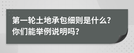 第一轮土地承包细则是什么？你们能举例说明吗？