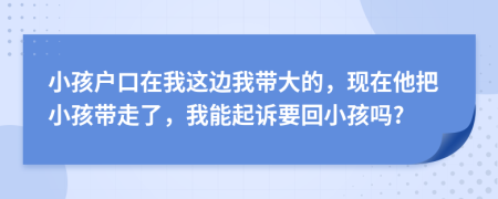 小孩户口在我这边我带大的，现在他把小孩带走了，我能起诉要回小孩吗?