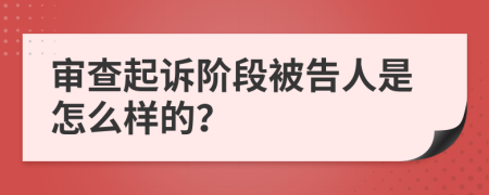 审查起诉阶段被告人是怎么样的？