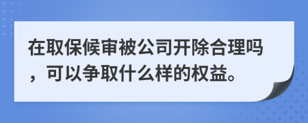 在取保候审被公司开除合理吗，可以争取什么样的权益。