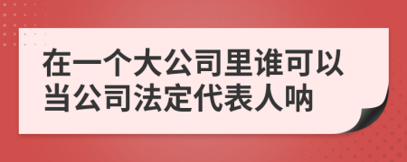 在一个大公司里谁可以当公司法定代表人呐