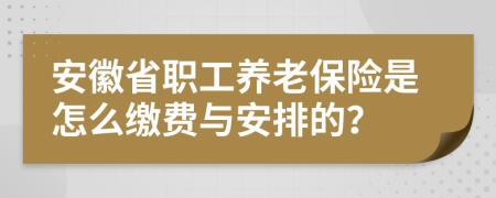 安徽省职工养老保险是怎么缴费与安排的？