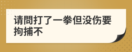 请問打了一拳但没伤要拘捕不