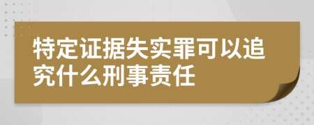 特定证据失实罪可以追究什么刑事责任