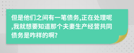 但是他们之间有一笔债务,正在处理呢,我就想要知道那个夫妻生产经营共同债务是咋样的啊？